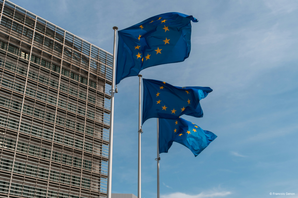 EU Flagge